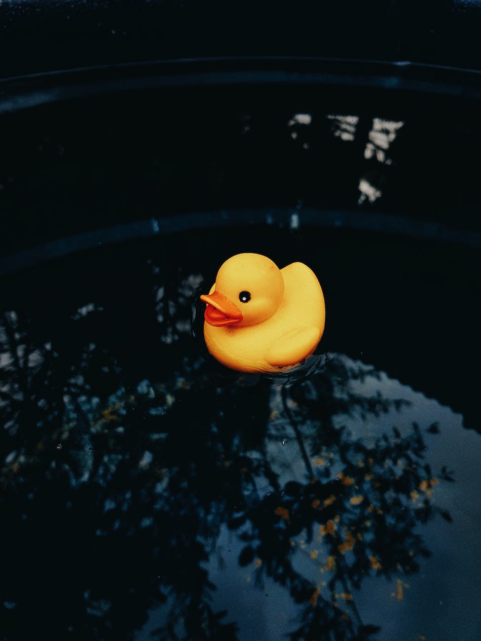 photo of rubber duck toy